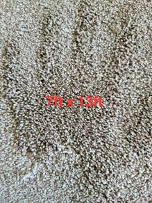 carpet 7ft x 13ft