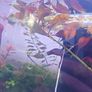 Ludwigia Image 3