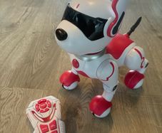Zoey the Robo Dog
