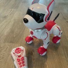 Zoey the Robo Dog