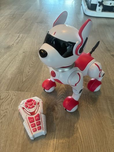 Zoey the Robo Dog