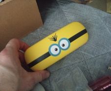 glasses case