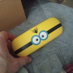 glasses case