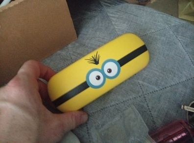 glasses case
