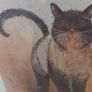 Alex Clarkes Coco Cat Print Image 4