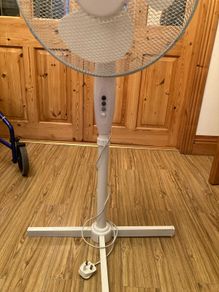 fan