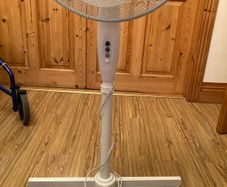 fan