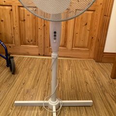 fan