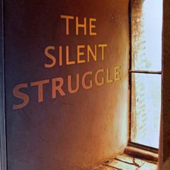 The Silent Struggle