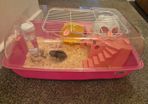hamster and cage FREE