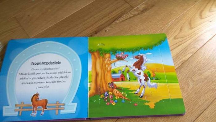 Puzzle horses book