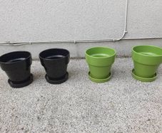 plant pots