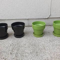 plant pots
