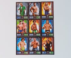 Toops 2008 Slam Attax 9  cards