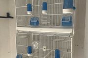 cages