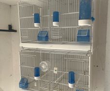 cages