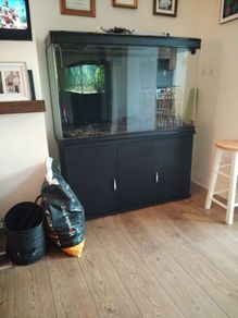 300 litre fish tank