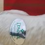 Donegal Parian China porcelain figurine of a cocker spaniel Image 4