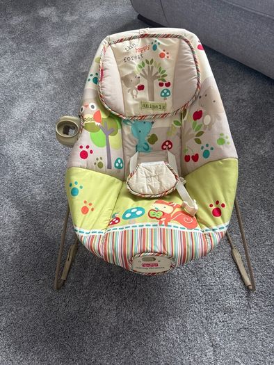 Free Baby Bouncer