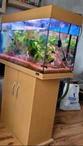Juwel 115 litre aquarium