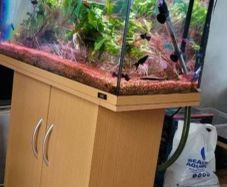 Juwel 115 litre aquarium