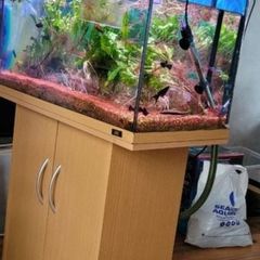 Juwel 115 litre aquarium