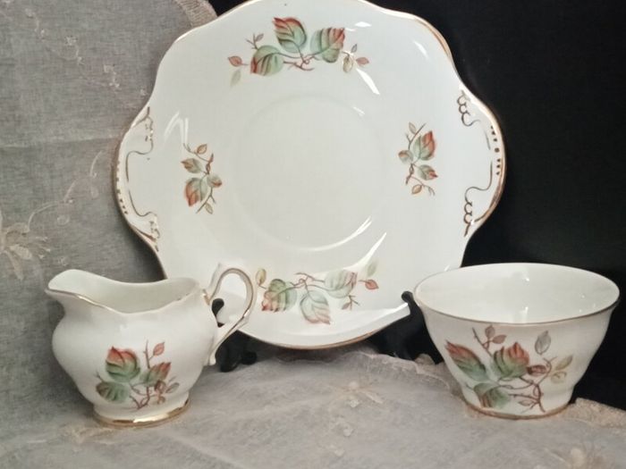 Royal Tara Fine Bone China Part Tea set