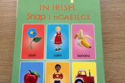 Snap / flash cards in Irish / as Gaeilge