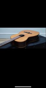 Giannini AWN-31 classical nylon string.