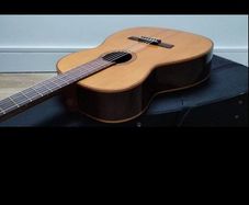 Giannini AWN-31 classical nylon string.