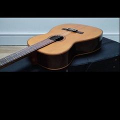Giannini AWN-31 classical nylon string.