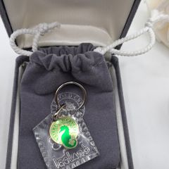 Vintage waterford keyring