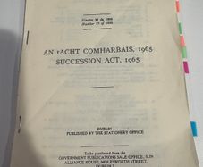 FE1 Property Law Succession Act 1965