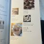 The Psilocybin Mushroom Bible Magic Mushies Book Image 4