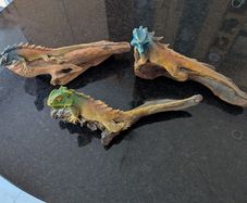Dragon Lizard on log x 3
