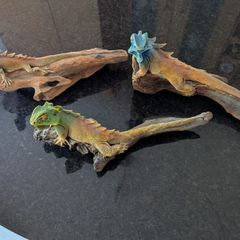 Dragon Lizard on log x 3