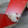Red bookcase Image 3