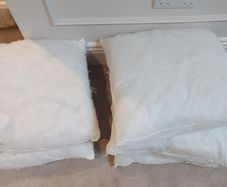 Cushion inserts