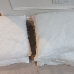 Cushion inserts