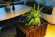 Vintage Treasure Chest Wood 66x38x40 cm