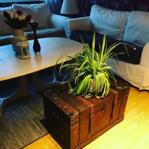 Vintage Treasure Chest Wood 66x38x40 cm