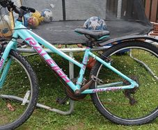 Kids mountain bike