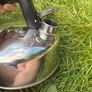 Enamel Camping Mugs x 4 and Kettle (New, unused) Image 2