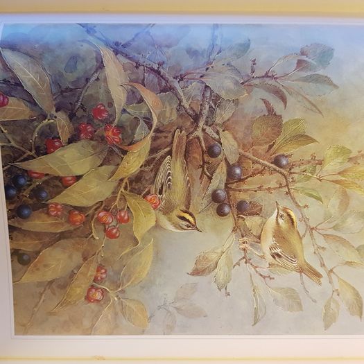 Beningfields Woodlands. Beautiful paintings by Gordan Beningfield of woodland and it birds and animals.