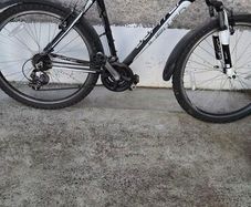 Men's Bike