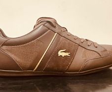 Lacoste
