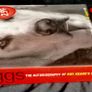 Triggs: The Autobiography of Roy Keane's Dog by Triggs - Large Paperback Image 3