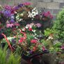 garden prop decoration bed post for hanging baskets trailing plants Image 2