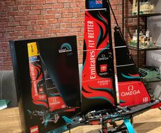 LEGO Technic 42174 Emirates Team New Zeland