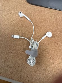 Apple Wired Earphones - Lightning Connector x 2
